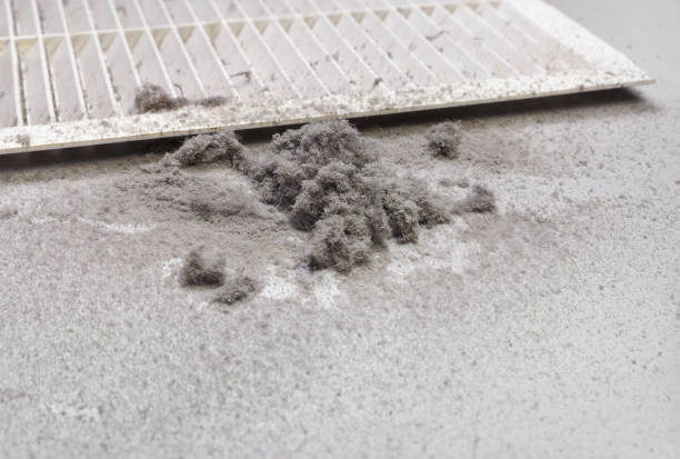 Best Air Duct Cleaning Company Near Me  in Walker Mill, MD