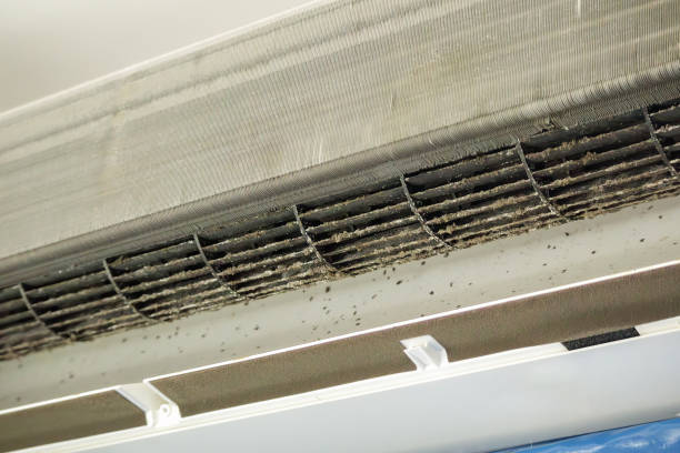 Best Residential Air Duct Cleaning  in Walker Mill, MD